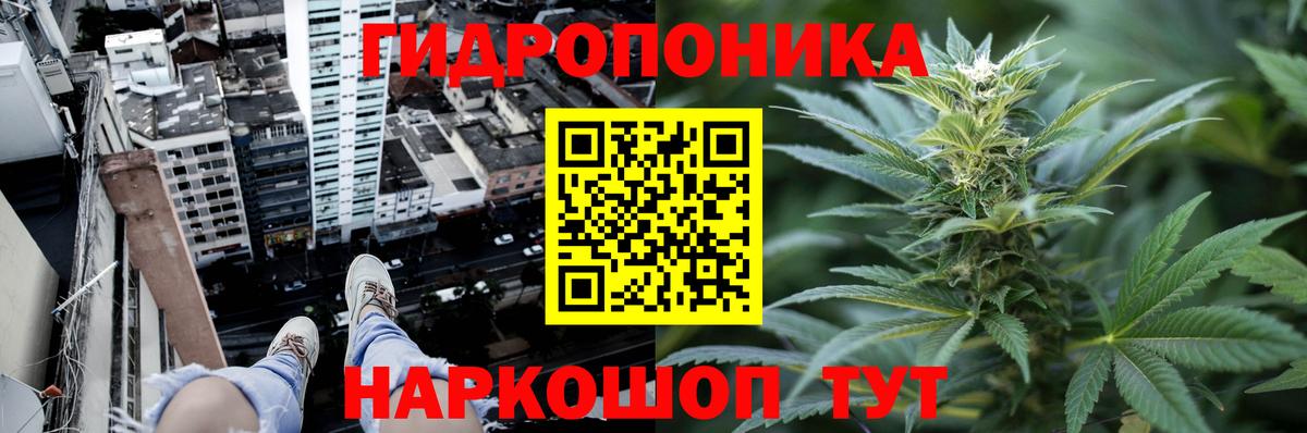 Каннабис MAZAR Семёнов